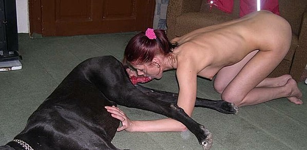 zoo-chien-14.5.12--2-