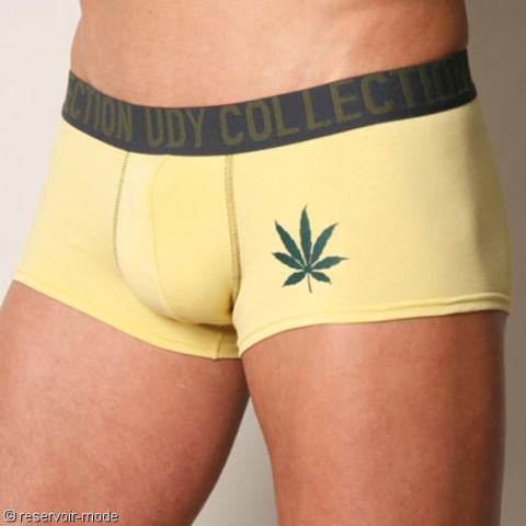 1290-defaut-525-udy-shorty-marihuana-8023