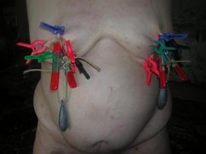 pinces-seins.jpg