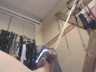 Picture 2727