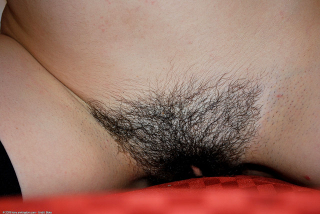 lun003BLA 197994129