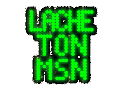 Msn1.gif
