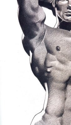 8bd-copie-1.jpg