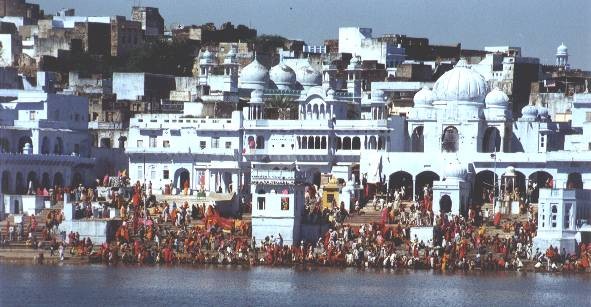 pushkar8-copie-1.jpg