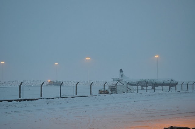 Blanc manteau