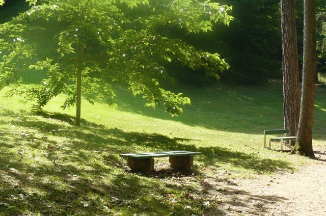 Le banc dans son décor du jour.(69)