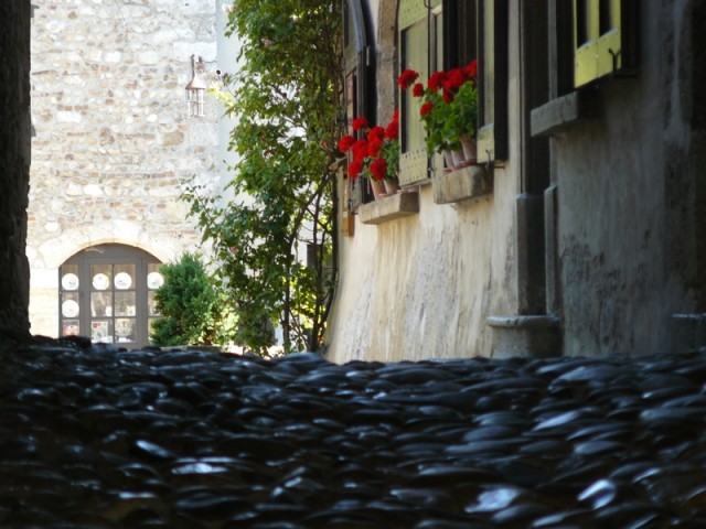 Une entrée à Pérouges(01)