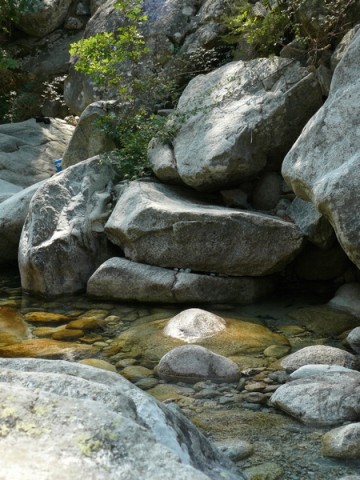 La rivière de la vallée de la restonica en Corse