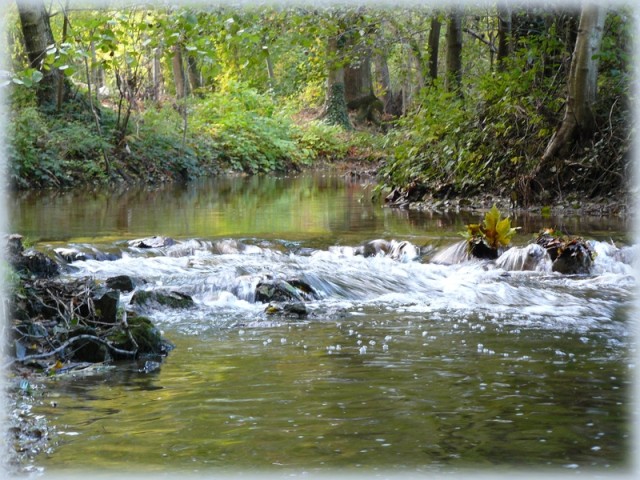 Les pierres de ma rivière (69)