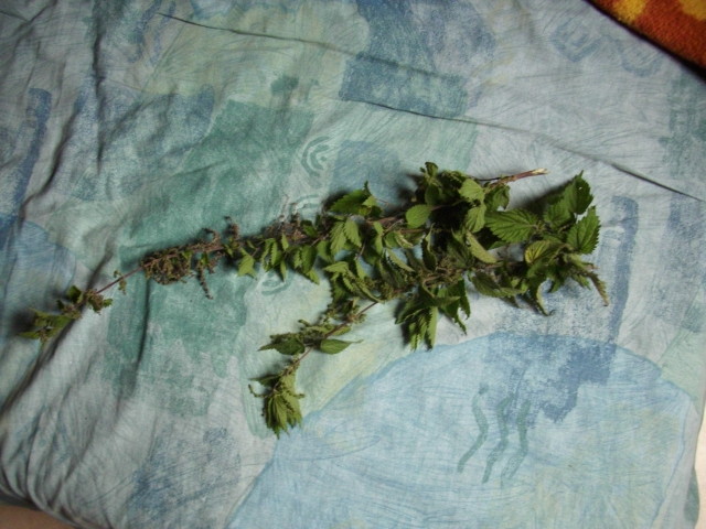 DSCI0857