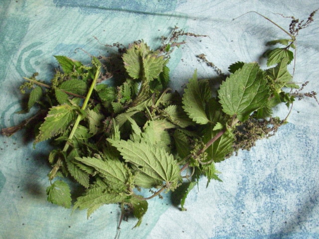 DSCI0866