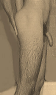 UneQueueentre2jambes05.jpg