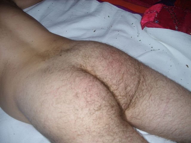 K00304
