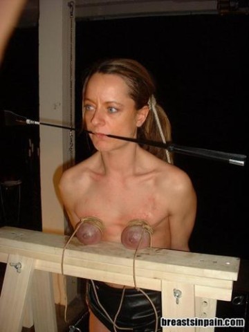 173.JPG