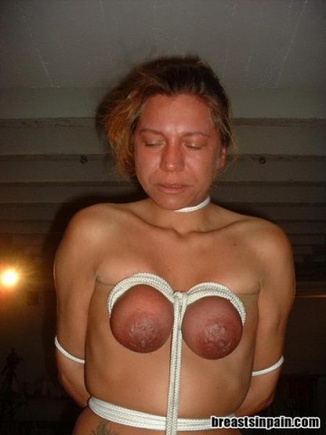 195.JPG