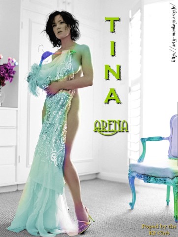 Tina-Arena-Dress01a.jpg