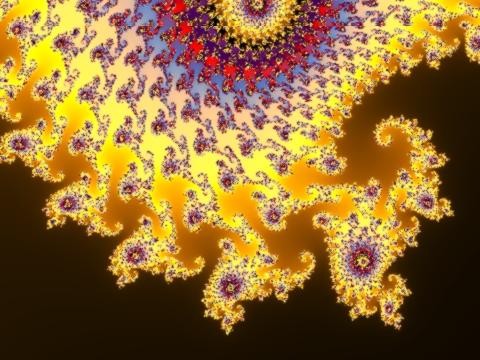 003.jpg