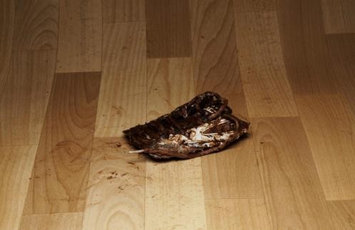 NILF-NIKE05.jpg