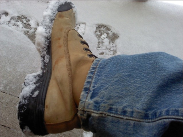 TERRAS PERS 0630 (neige)