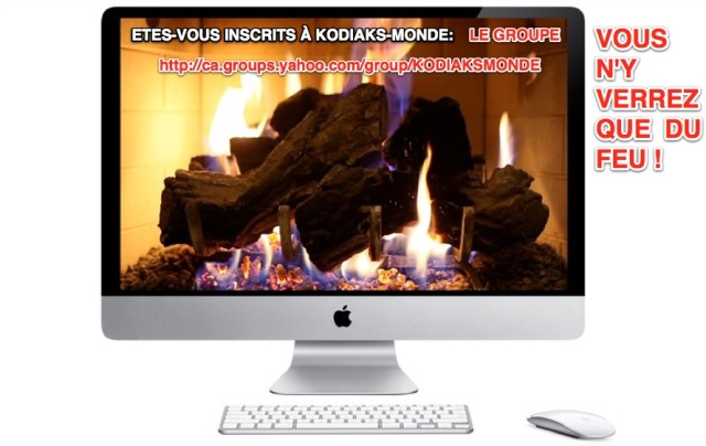 pour le blog