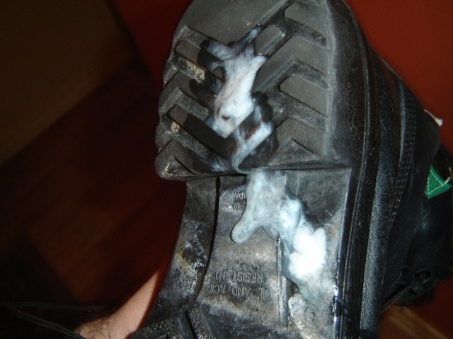 sperm+on+sole