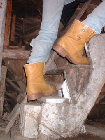 BOOTS-2F12.jpg