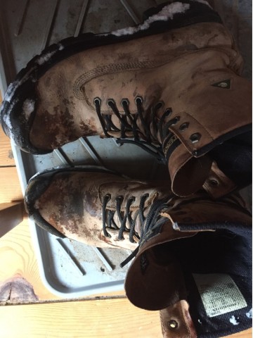 Photo 5308 (TERRA PERS+neige)