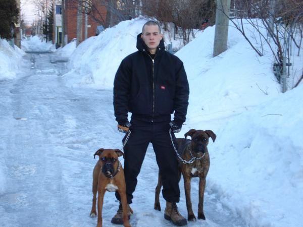 avec ses chiens, dans neige