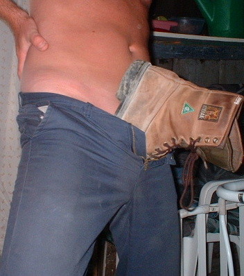 332.jpg