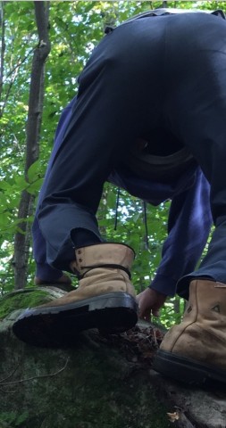 HR 1210