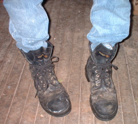 18509.jpg