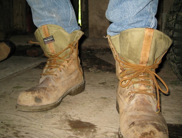 image34.jpg