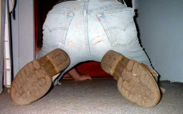 licklevis19.jpg