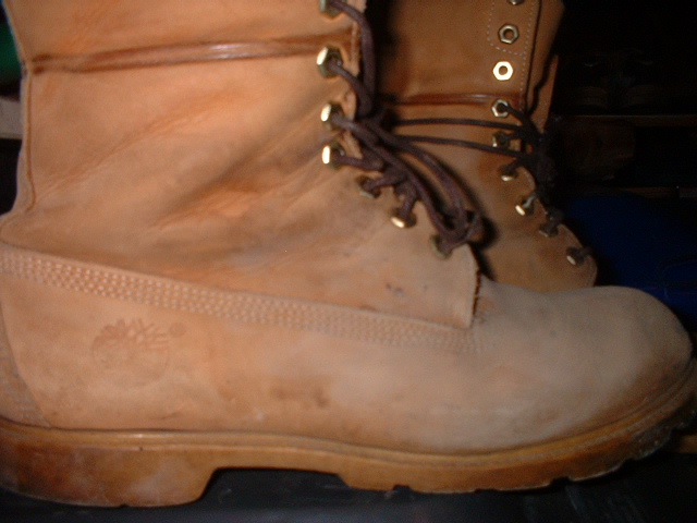 BOOTS-6F0033.jpg