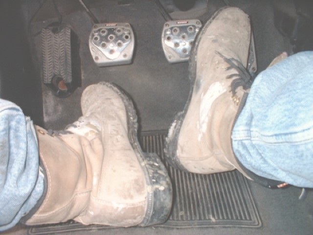 PREDATOR-PERS-14.jpg