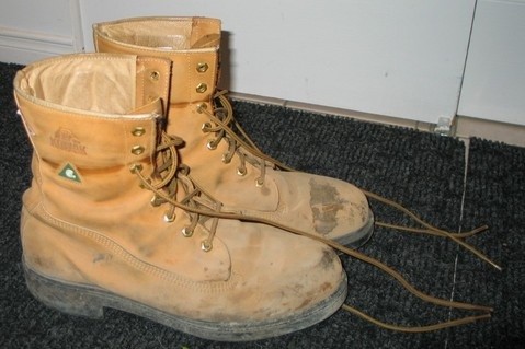 kodiaks de M 1