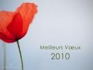 2010