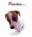 Pardon