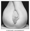 images 6
