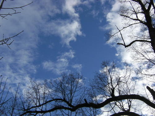 Nuage.jpg