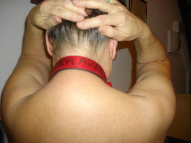005-copie-1.jpg