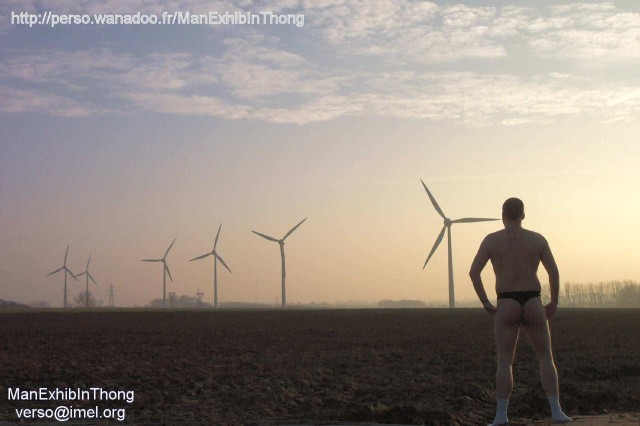 ManExhibInThong - 2005 mars - balade vers abbeville - champ