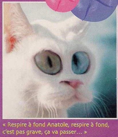 190508-funny1.jpg