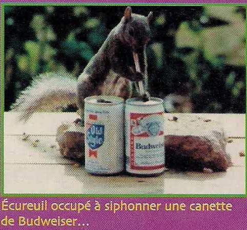 190508-funny3.jpg