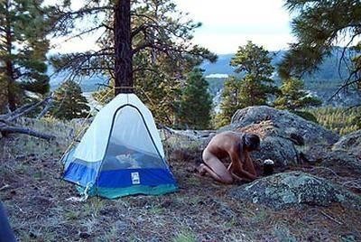 img_225259_983512.jpg