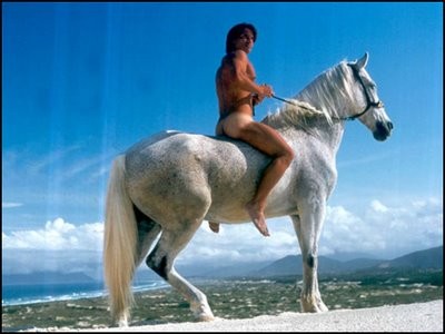 horse7.jpg
