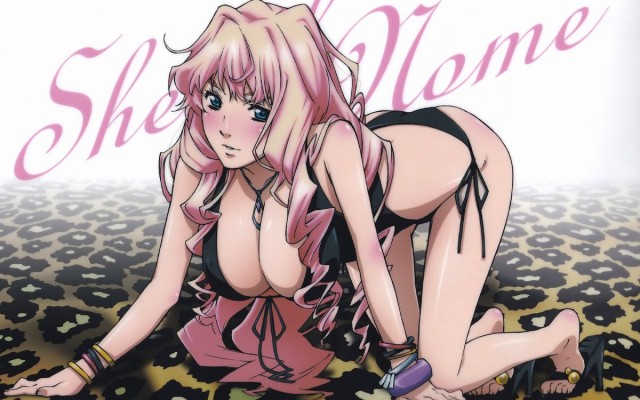 Macross Frontier253