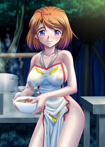 Mai Otome090