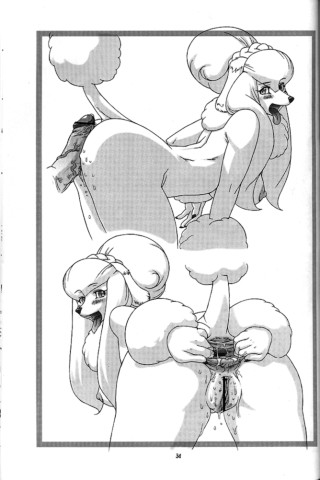 yiffy furry205