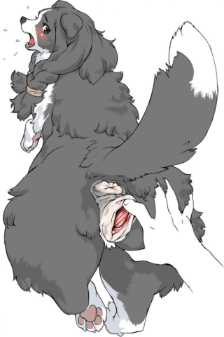 yiffy furry246